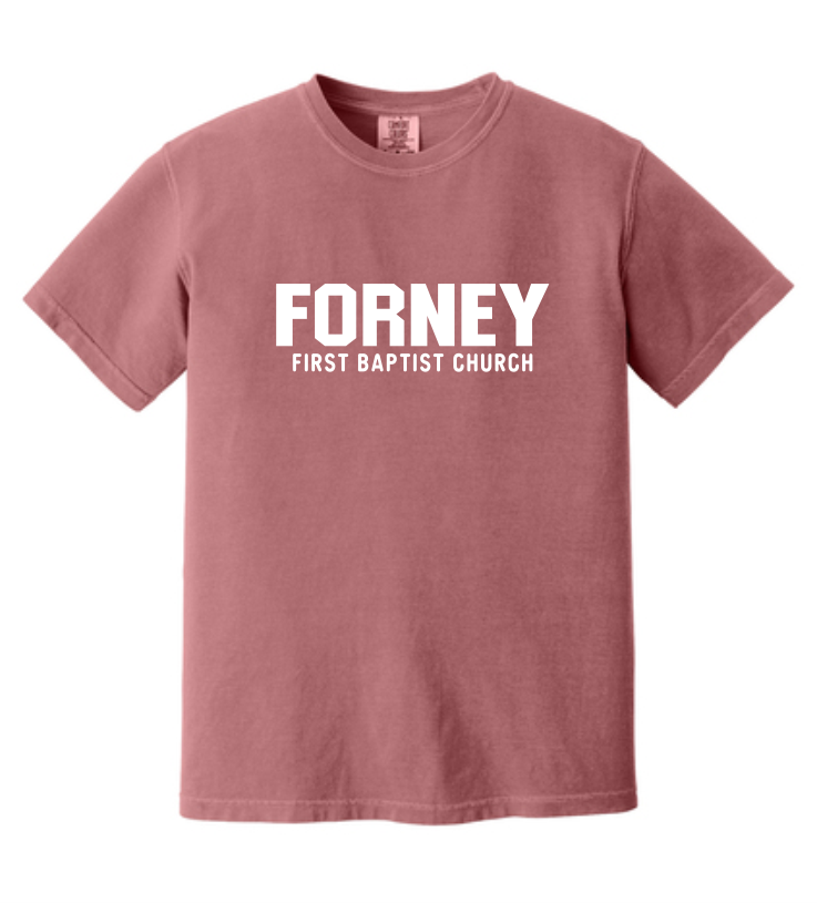 FBCF Comfort Colors Tee