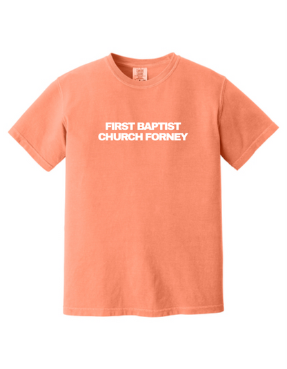 Come and See Comfort Colors Tee